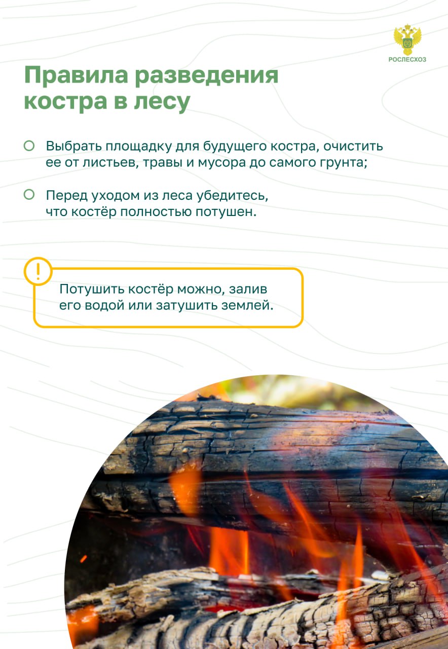 Остановим огонь, Правила
